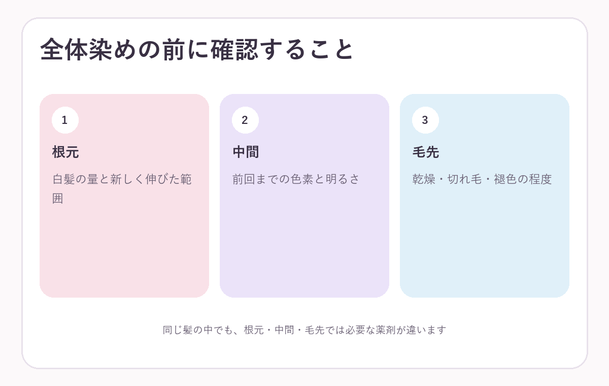 白髪染め前に根元・中間・毛先の履歴を確認する図解