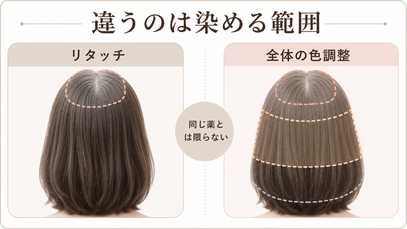 白髪染めのリタッチと全体染めの範囲の違い