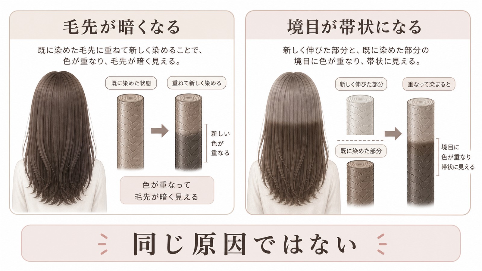 白髪染めで毛先が暗くなる理由と境目ができる理由