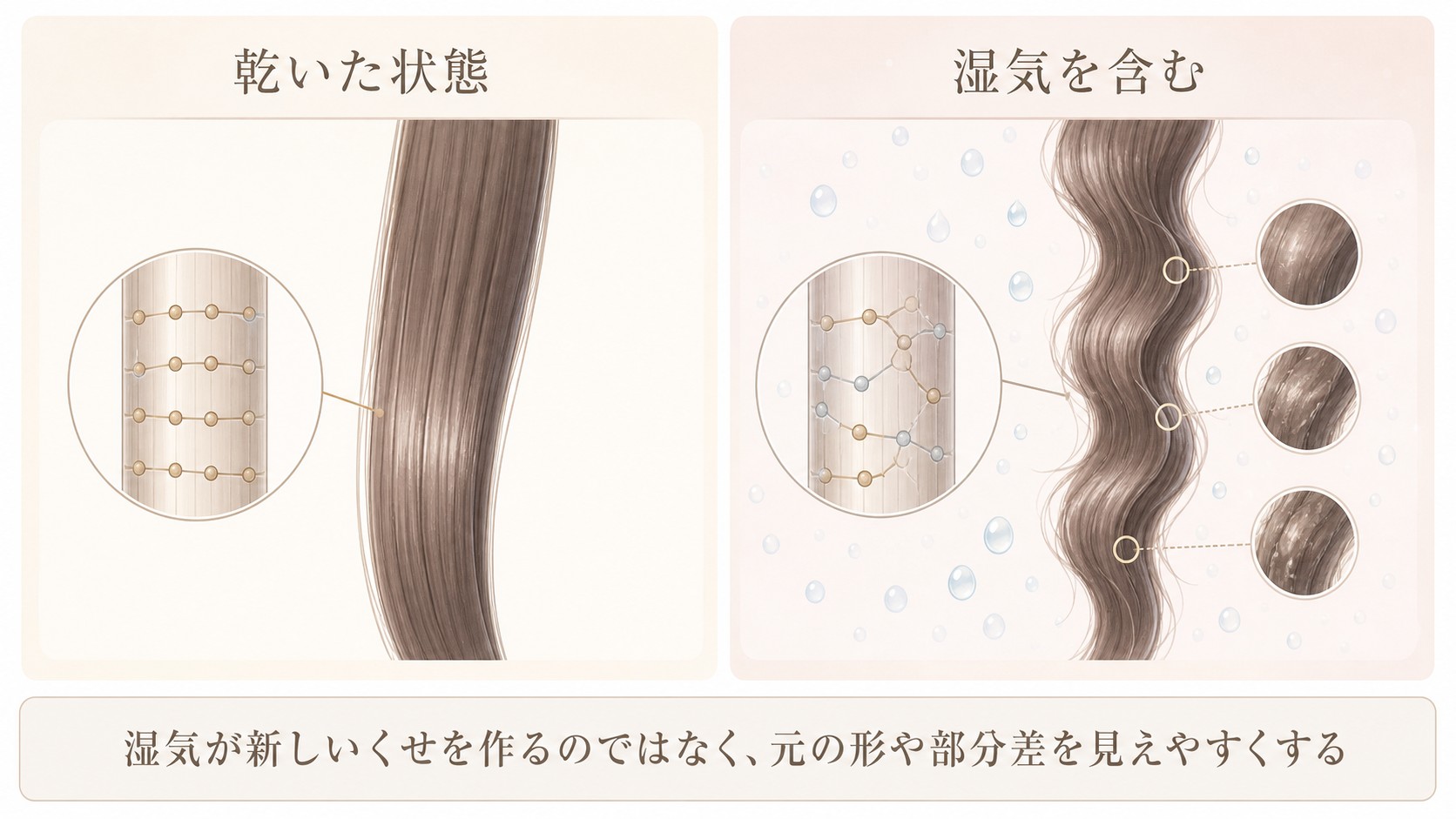 湿気で髪のうねりと広がりが戻りやすくなる仕組み