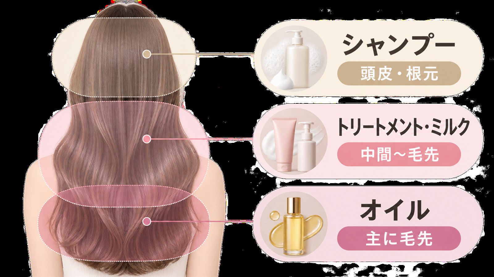 シャンプーとトリートメントとオイルを使う範囲の違いを示す図解